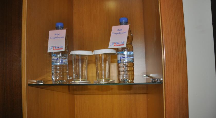 Fortune Plaza Hotel, Dubai Airport