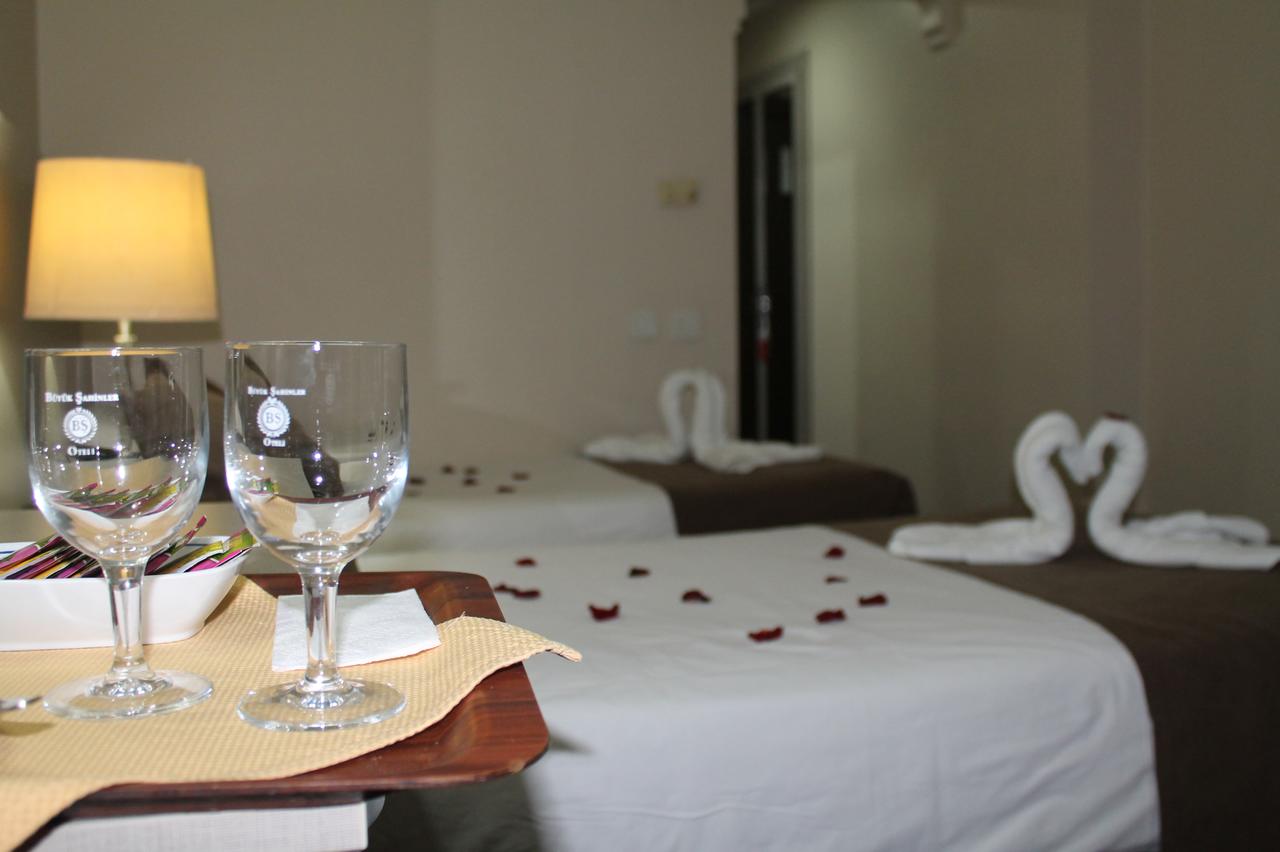 Buyuk Sahinler Hotel