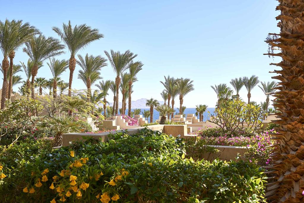 Four Seasons Resort Sharm El Sheikh