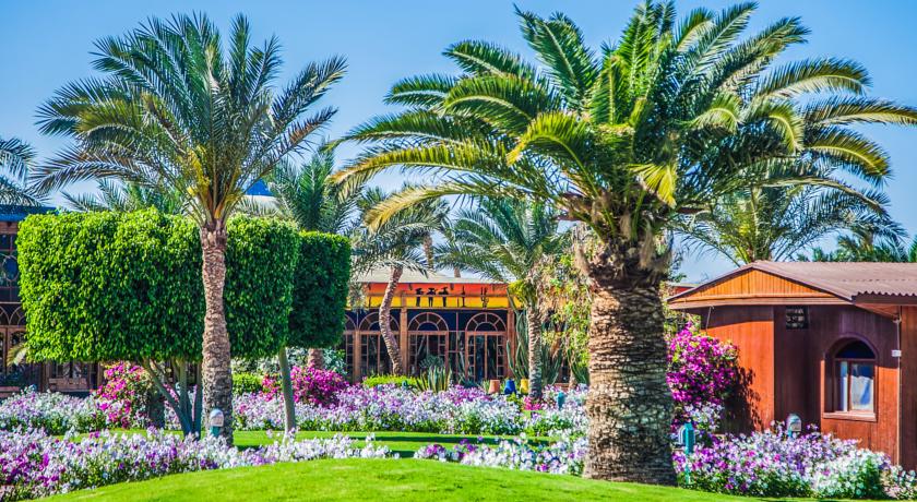 The Desert Rose Resort