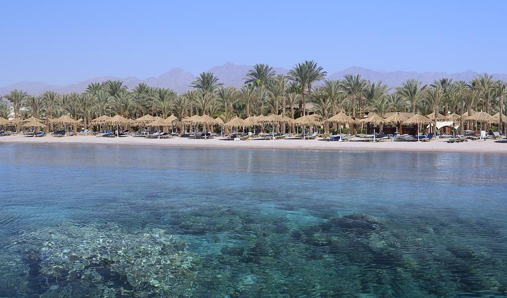 Hilton Sharm Dreams Resort