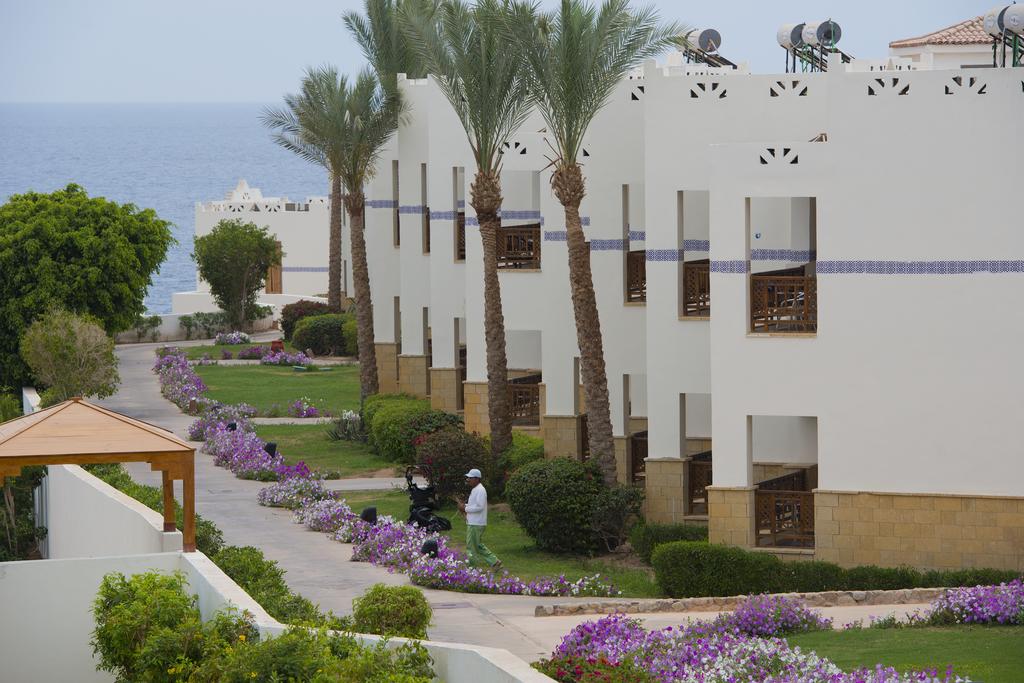 Shores Aloha Resort
