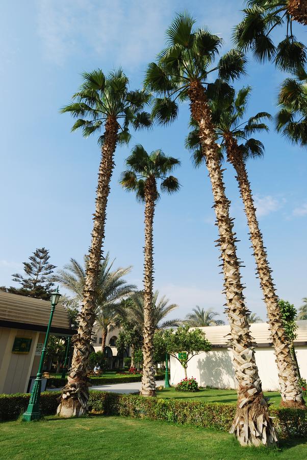 The Oasis Hotel Pyramids