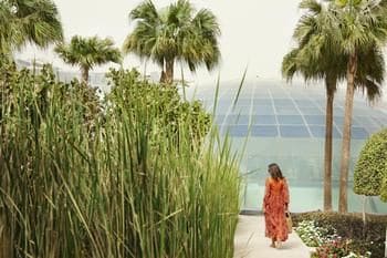 Raffles Dubai