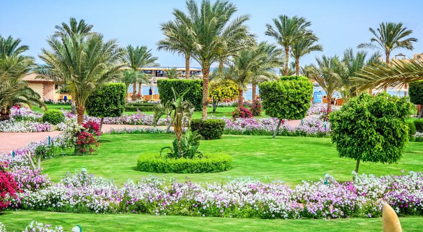 The Desert Rose Resort