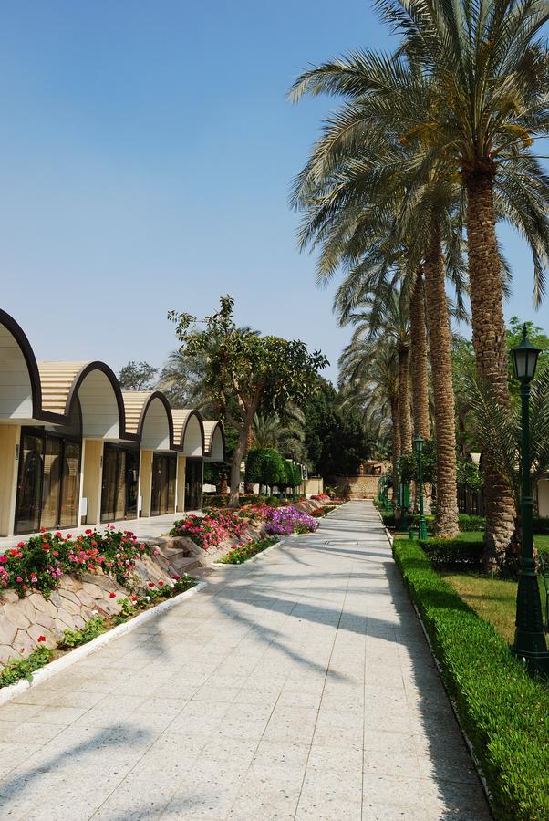 The Oasis Hotel Pyramids