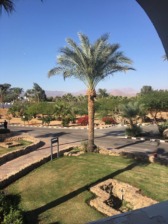 Domina Oasis Hotel & Resort