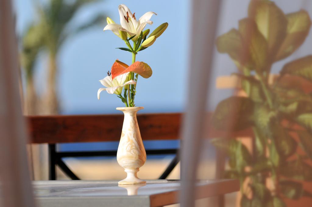 Resta Grand Resort Marsa Alam