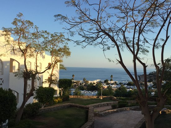 Domina Oasis Hotel & Resort