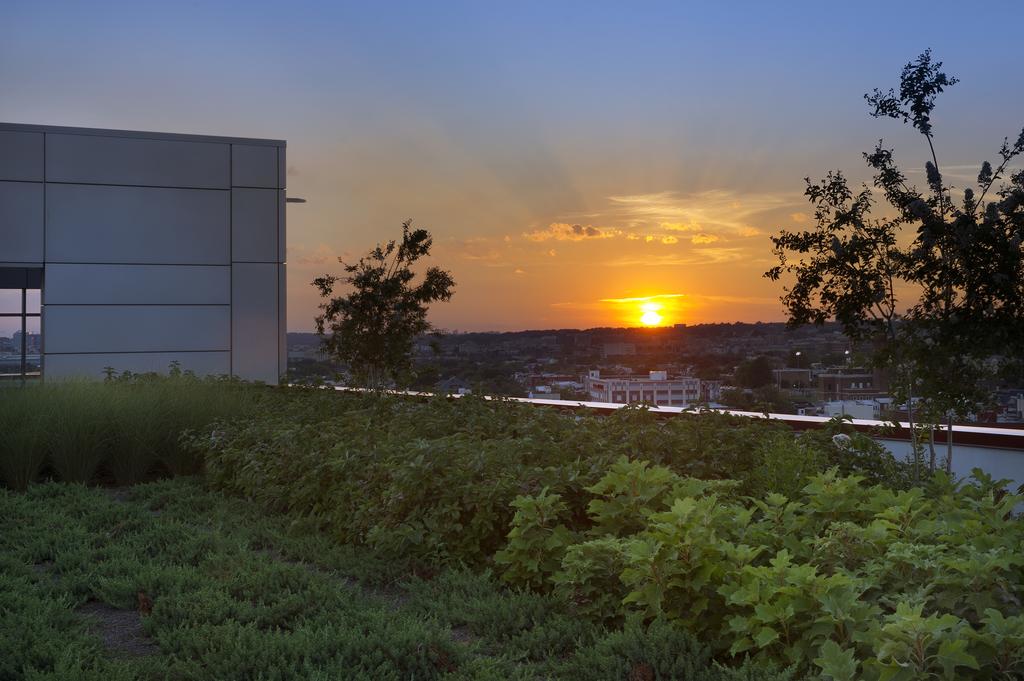 Homewood Suites by Hilton Washington DC NoMa Union Station