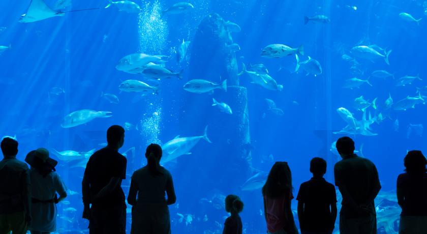 Atlantis The Palm, Dubai