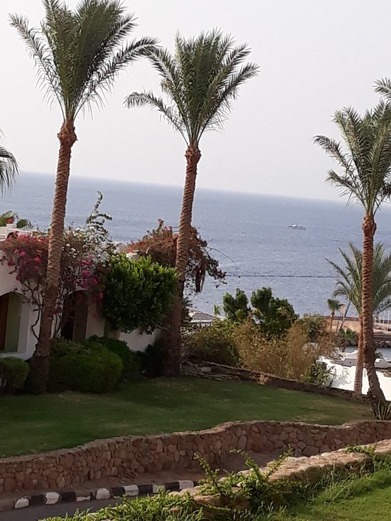 Domina Oasis Hotel & Resort