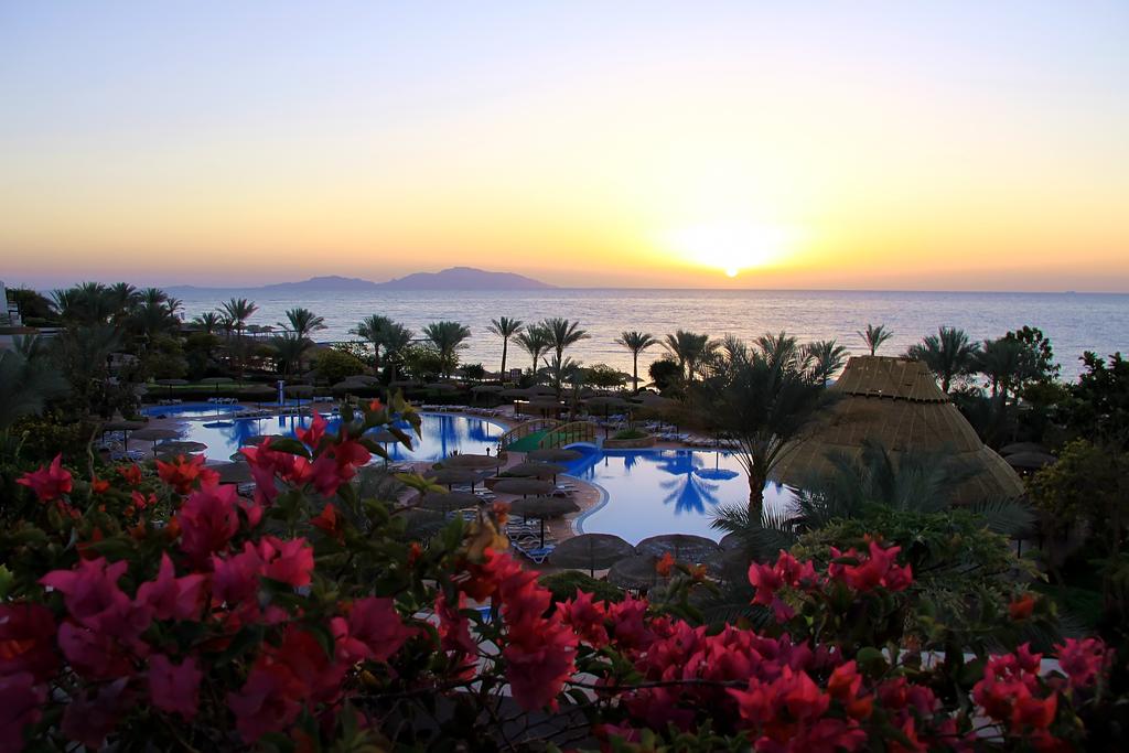 Royal Grand Sharm Resort