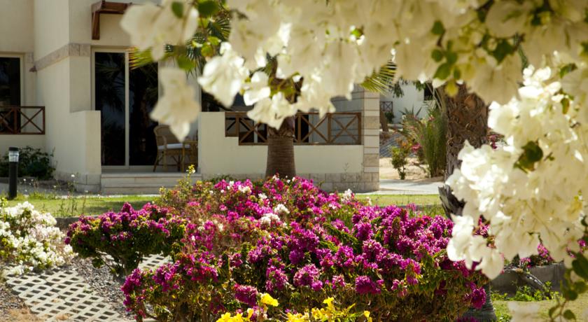 Coral Beach Hurghada Resort