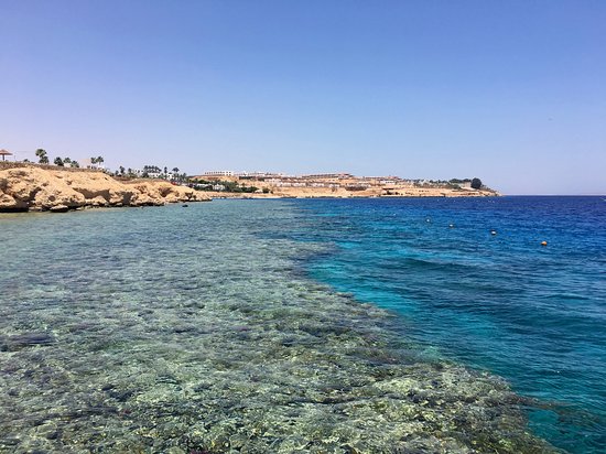 Domina Oasis Hotel & Resort