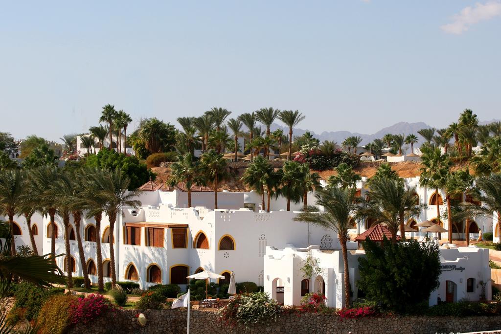 Coral Bay Prestige Apartment