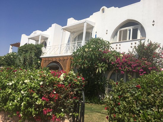 Domina Oasis Hotel & Resort