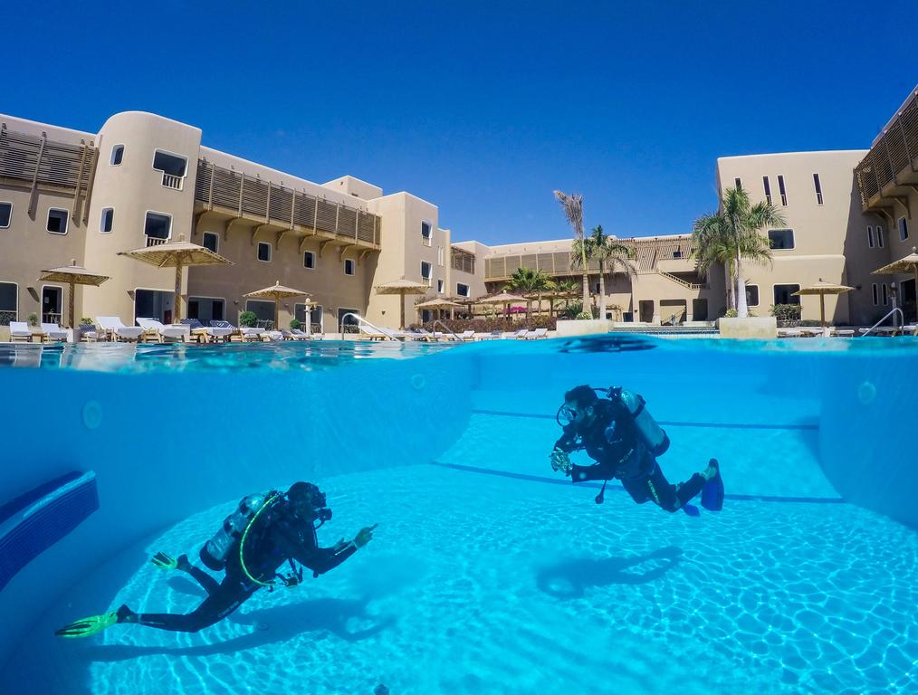 The Breakers Diving & Surfing Lodge
