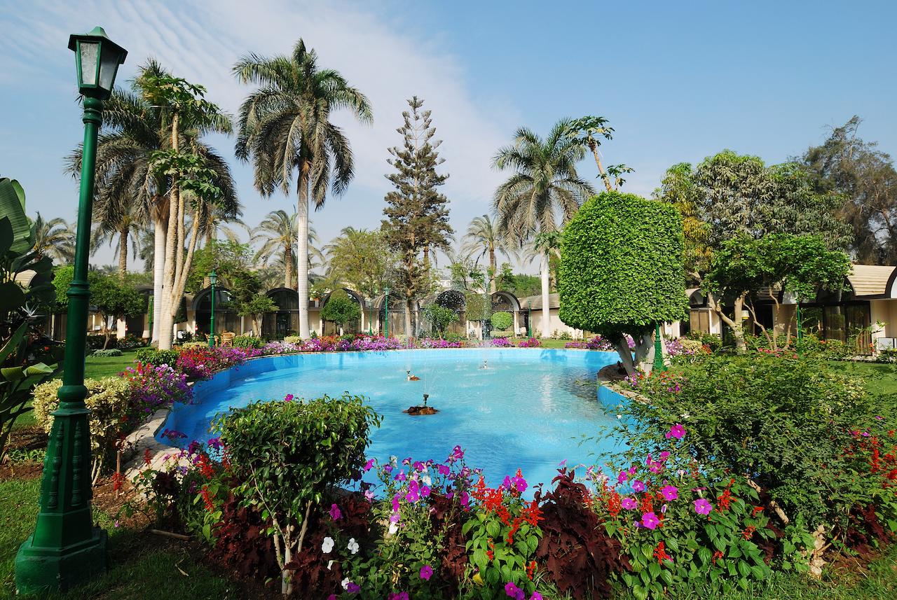 The Oasis Hotel Pyramids