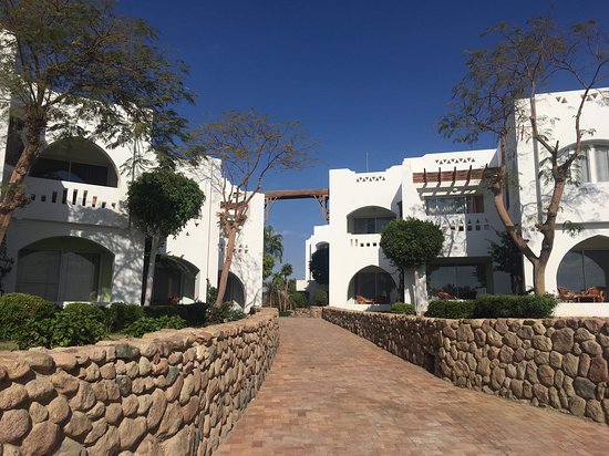Domina Oasis Hotel & Resort