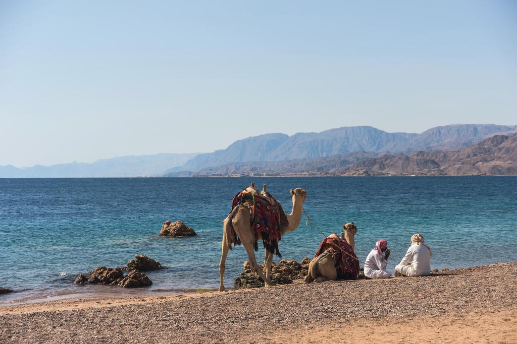 Mövenpick Taba Resort & Spa