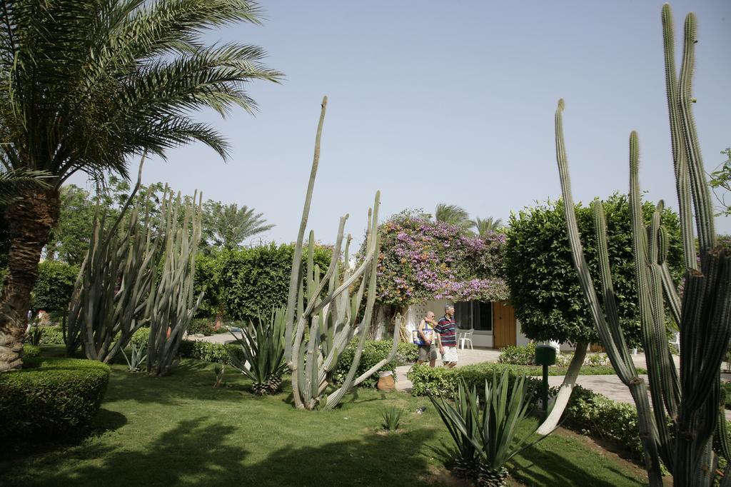 Shams Safaga Resort