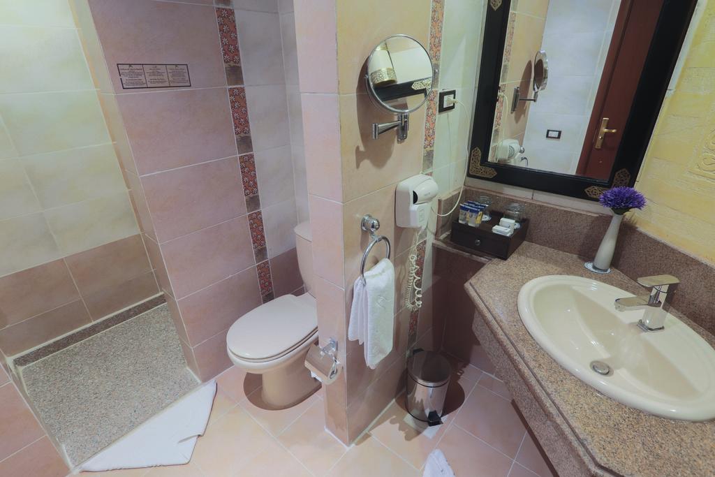Albatros Citadel Resort (Families and Couples Only)