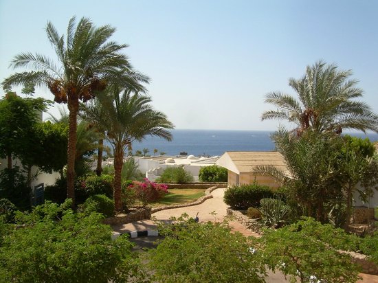 Domina Oasis Hotel & Resort