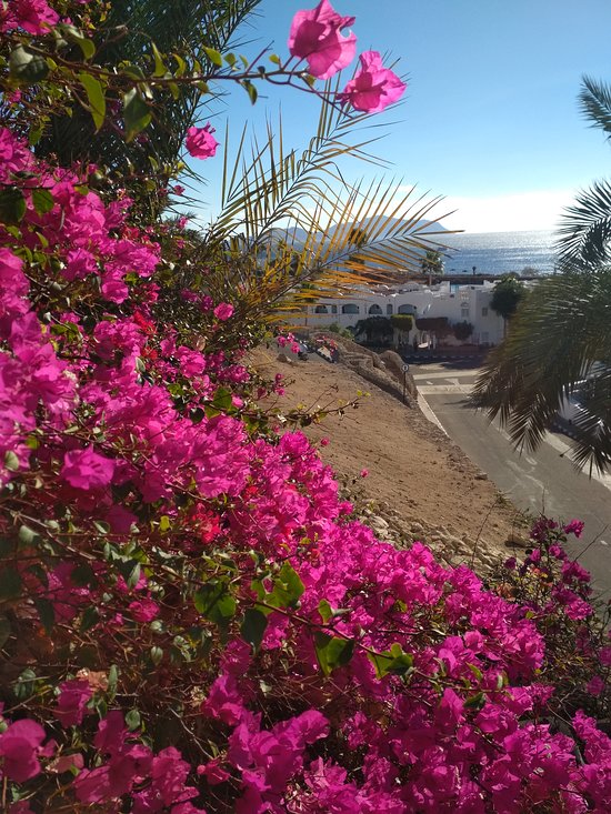 Domina Oasis Hotel & Resort