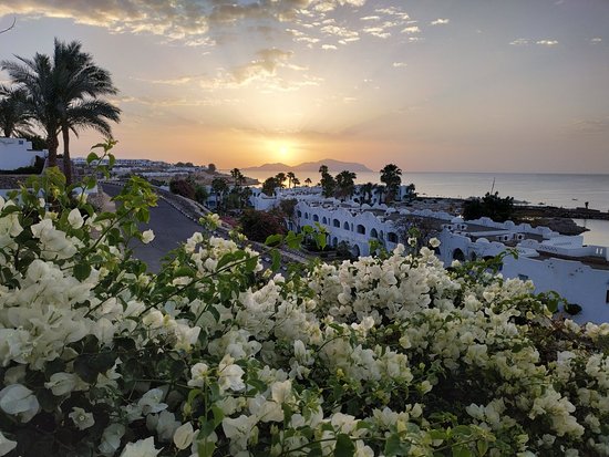 Domina Oasis Hotel & Resort