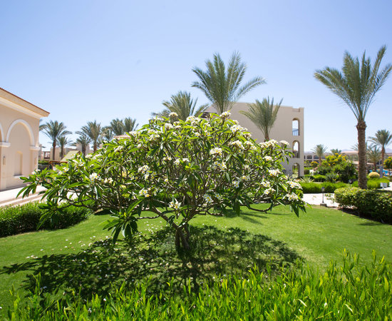 Jaz Mirabel Park