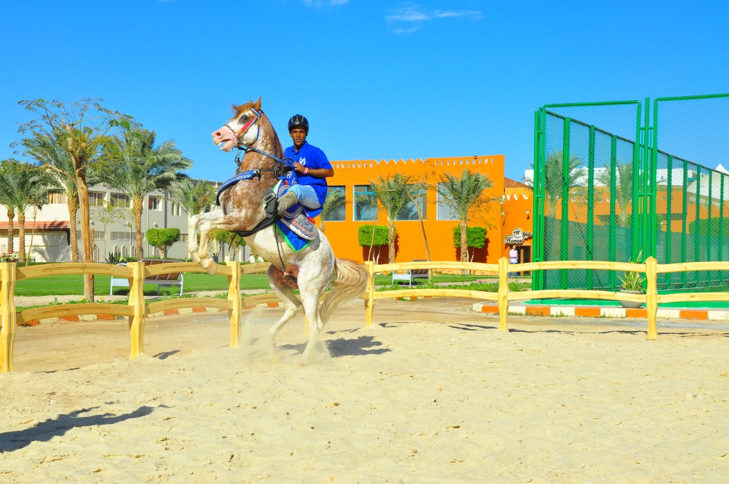 Sunrise Garden Beach Resort