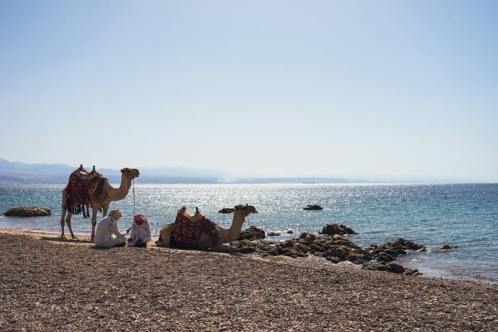 Mövenpick Taba Resort & Spa