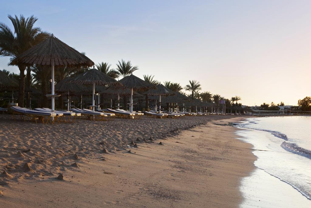 Hilton Sharm Dreams Resort