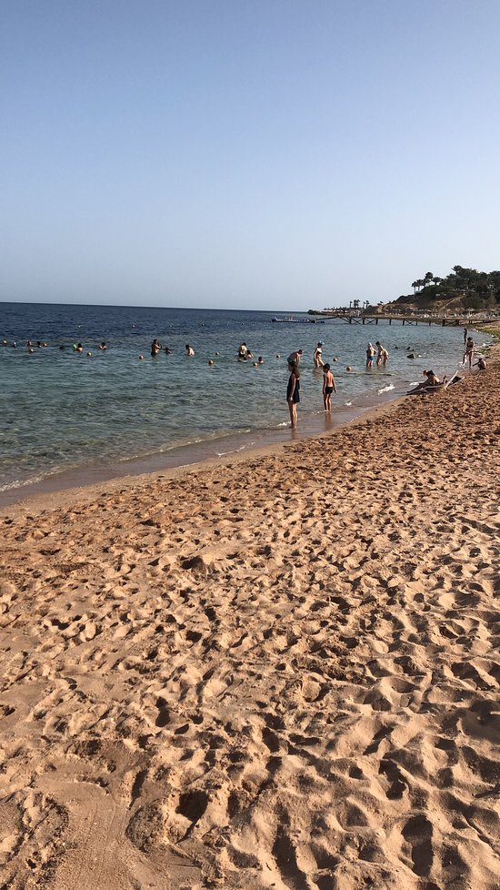 Domina Oasis Hotel & Resort