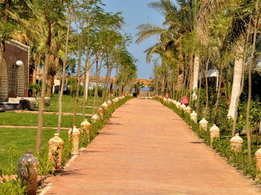Aladdin Beach Resort