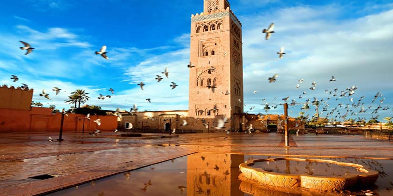 رحلات مراكش