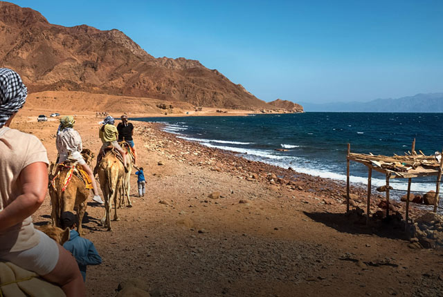 Dahab Trips