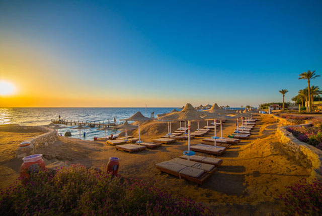 Sharm El Sheikh Trips