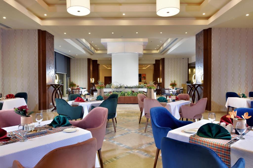 Ain Sokhana Trips - TOLIP Resort El Galala Majestic Ain Sokhna