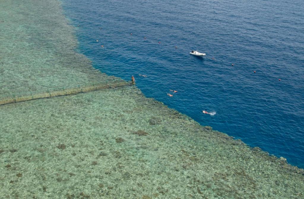 Sharm El Sheikh trips - Dreams Beach Resort