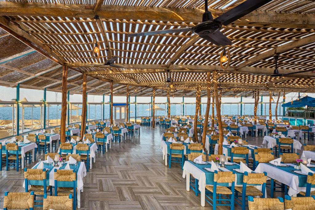 Sharm El Sheikh trips - Dreams Beach Resort