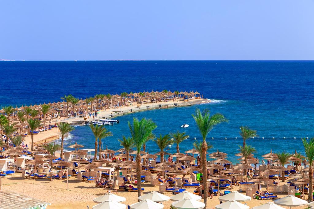 hurghada trips - Beach Albatros Resort