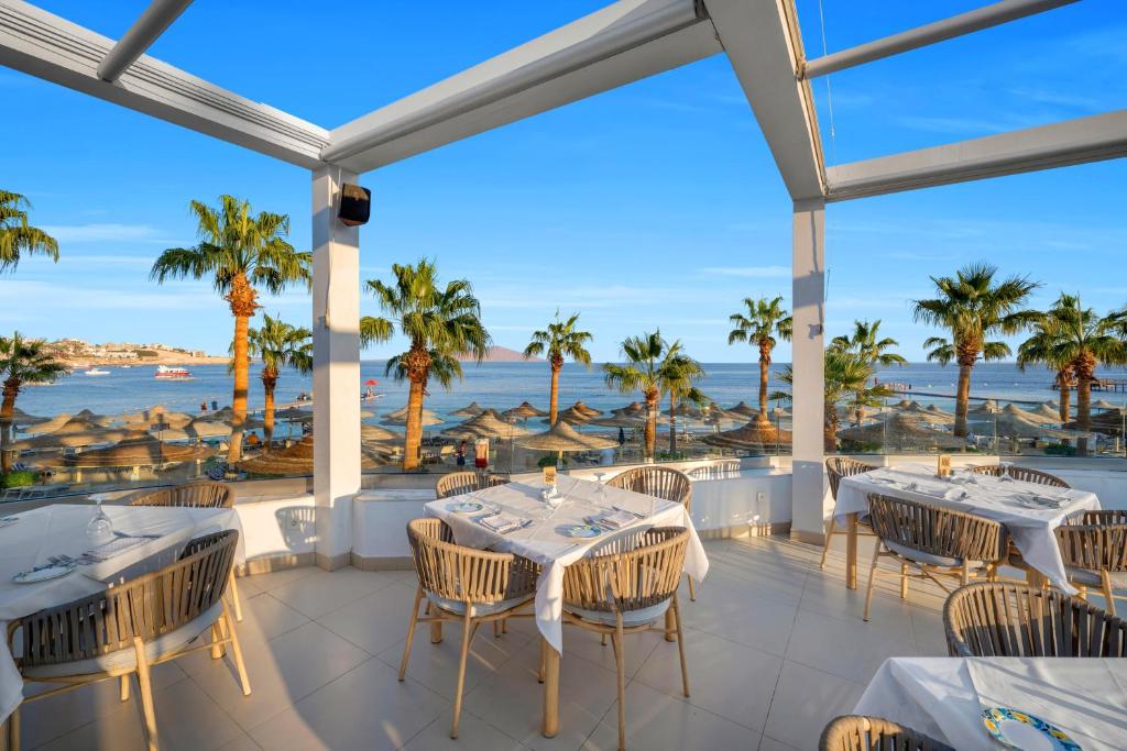Sharm El Sheikh trips - Savoy Sharm