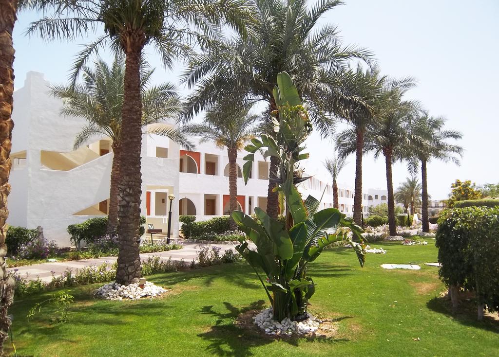 Sharm El Sheikh trips - Sunrise Diamond Beach Resort